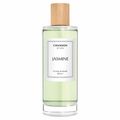 Perfume Chanson D'eau Jasmine Feminino Eau de Toilette 100ml